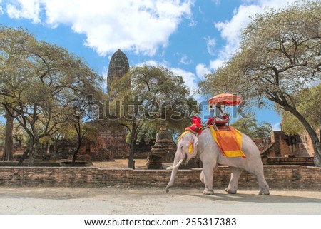 Tourist on elephant sightseeing in Ayutthaya Historical Park, Ayutthaya, Thailand