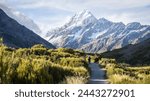 Tourist on the trail in beautiful alpine valley facing huge snowy mountain, Mt Cook, New Zealand