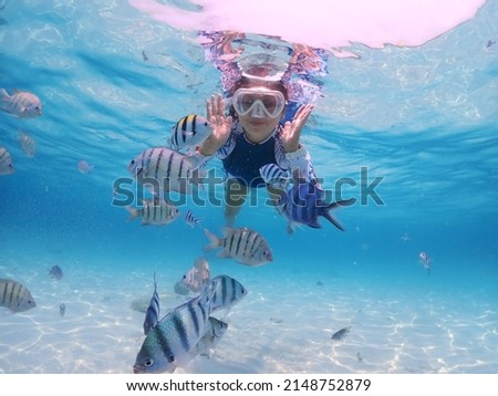 Tourist people diving with snorkel to see nemo fish , beautiful fish and coral at Samaesarn Island of Thailand
