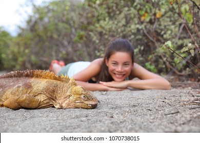 Tourist People Enjoying Wildlife And Nature Looking At Galapagos Land Iguana - Yellow Land Iguana In Urbina Bay, Isabela, Galapagos. Amazing Animals And Wildlife In Galapagos Islands, Ecuador.