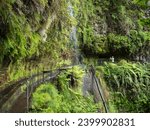 tourist people walking through waterfall at Levada Do Rei PR18 hike, water irrigation channel and tropical plants. Sao Jorge ending at the source in Ribeiro Bonito, Madeira, Portugal