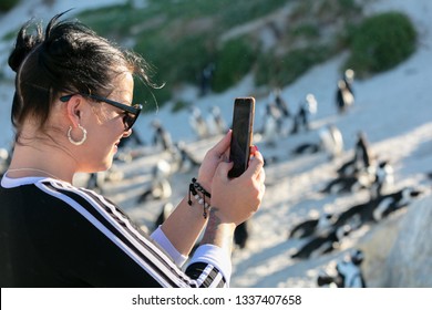 Tourist photographing penguins at Boulders Beach  - Powered by Shutterstock