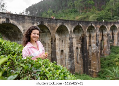 A tourist poses in a tea plantation near the famous nine-arch bridge in Sri Lanka. Tourism in picturesque places.