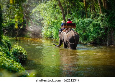 tourist riding on elephants Trekking in Thailand