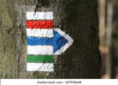 Tourist sign red, blue and green on a tree - Powered by Shutterstock