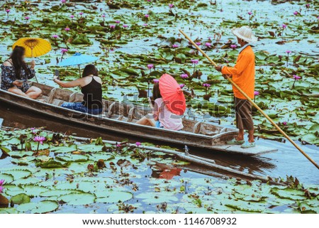 the tourist Sit on a rowing boat Watch the lotus in the marsh