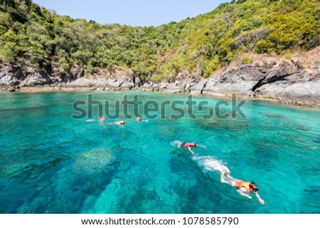 The tourist in snorkeling mask dive underwater with tropical fishes in coral reef sea pool. Travel lifestyle, water sport adventure, swimming on summer beach holiday at Phi Phi Island, Phuket,Thailand