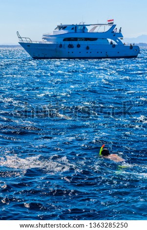 Tourist snorkeling in Red sea. Summer vacation concept