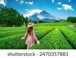 Tourist standing in green tea plantation in Shizuoka, Japan.