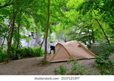 Tourist tent, camp in the forest on a glade - Powered by Shutterstock