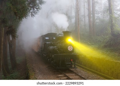 A tourist train, hauled by an antique steam locomotive, traveling thru a forest in the heavy fog, with the track lighted up by the lamp, in Alishan Mountain Resort and Nature Reserve, Chiayi, Taiwan