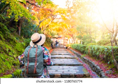 Tourist is traveling and sightseeing in the park during autumn in Kyoto, Japan.