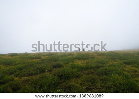 Tourist walking in the misty mountain valley. Altai Mountains