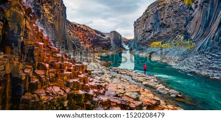 Tourist went to the bottom of canyon and admired the beauty of basalt columns. View from flying drone of Studlagil Canyon. Picturesque summer scene of Iceland. Beauty of nature concept background.