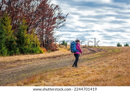 Tourist woman with backpack hiking in autumn Carpathian mountains