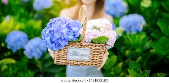 tourist woman hand holding colorful purple hydrangea flower basket in the garden - Powered by Shutterstock