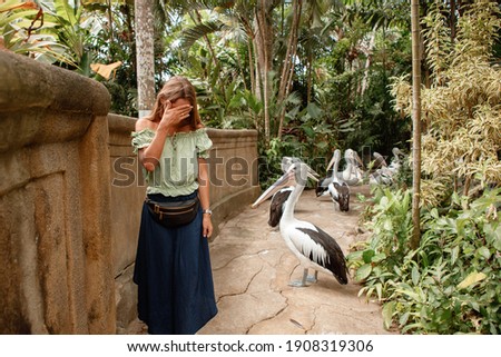Tourist woman walk near pelicans in bird park during tropical vacation on Bali island. Girl watch animals and birds at the zoo