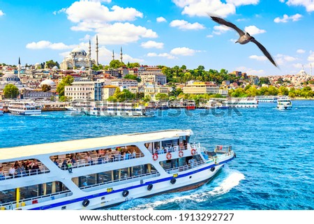 Touristic sightseeing ships in Golden Horn bay of Istanbul and view on Suleymaniye mosque with Sultanahmet district. Seagull on the foreground. Istanbul, Turkey during sunny summer day