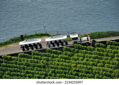 Touristic train crossing Lavaux vineyards - UNESCO World Heritage, Saint-Saphorin, Dezaley, Lavaux wine region, autumn - September, Geneva Lake, Lac Leman, canton Vaud, Switzerland, Europe
