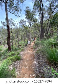 Tourists In Australian Bush. Walking Trail. Mundaring Bush. Perth Hills. Endemic Flora.