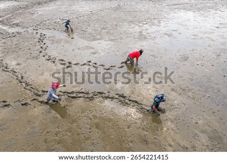 Tourists catching mudflat creatures at the mudflat experience center
