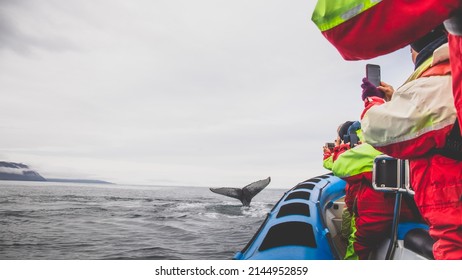 Tourists having fun at whale watching boat in Iceland