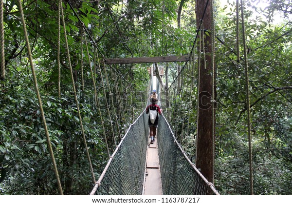 Tourists Hiking Hanging Bridges Taman Negara Stock Photo