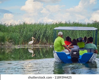Tourists on a boat in the Danube Delta, Romania
