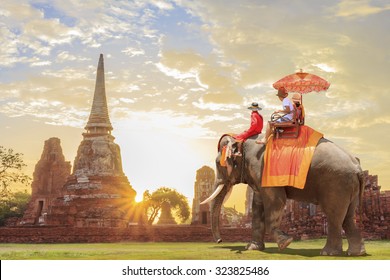  Tourists on an ride elephant tour of the ancient city in sunrise background