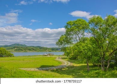 南楊州市hd Stock Images Shutterstock