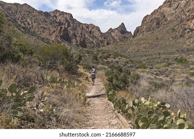 Tourists on the Window trail - the most popular hike in the Big Bend National park, Texas, USA. Hiking through the desert. - Shutterstock ID 2166688597