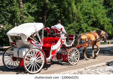 Tourists riding in a red and white carraige being pulled by a brown horse in central park new york city.