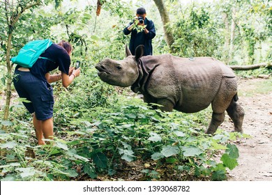 Tourists take photos baby rhino stands in the tall green grass nepal