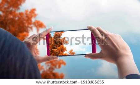 Tourists using mobile phones In photographing the sky and the leaves