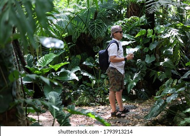 Tourists Walk In An Outdoor Tropical Garden During The Rainy Season In Thailand, Rainforest, Tall Trees.