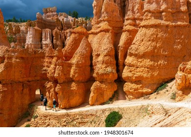 Tourists Walking Between Hoodoo Rock Formations Along The Navajo Loop Hike, Bryce Canyon National Park, Utah, United States Of America (USA).