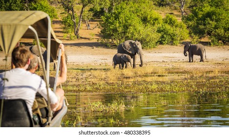 Tourists Watching An Elephant While On Safari In Botswana, Africa