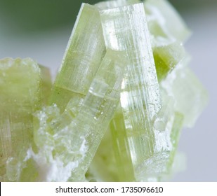 tourmaline mineral specimen quartz gem stone rock geology