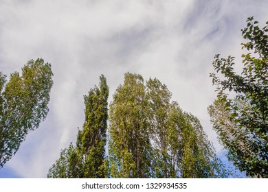 toward the clouds