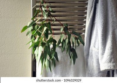 Towel And Bathrobe With Eucalyptus Leaves On The Bathroom Heater, Modern And Cozy Spa