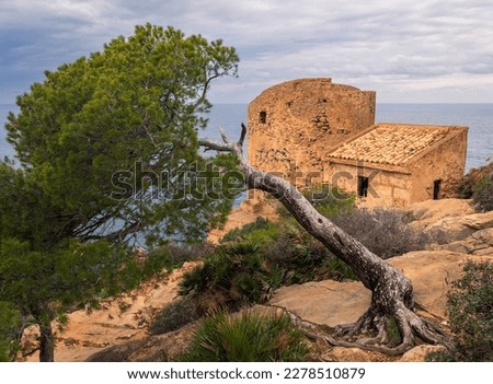 The tower of Cala Basset (Torre de Cala en Basset) is a watchtower from the late 16th century, located in the mountains of Tramuntana Majorca Spain