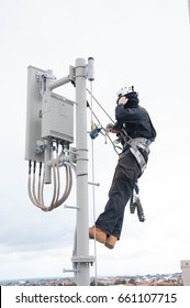 Tower Climber On Pole Tower