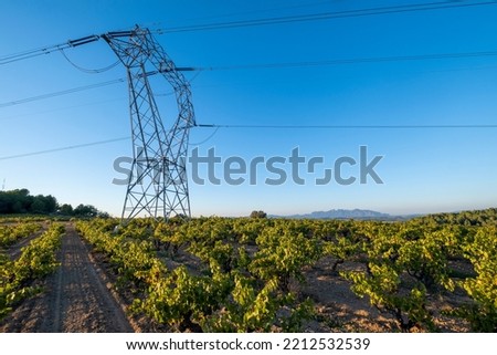 Tower of high-voltage cables between fields of vineyards in the Subirats region in the Penedes denomination of origin area in Barcelona