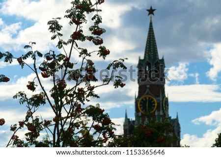 Tower of the Kremlin and rowan