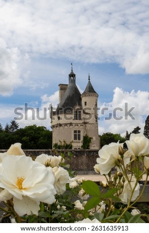 Tower of Marques Château de Chenonceau