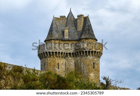 The tower of the old castle. Castle tower. Tower of medieval castle. Castle tower view