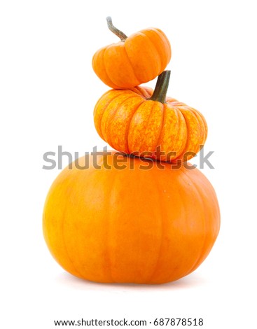 Tower of pumpkins isolated on white background
