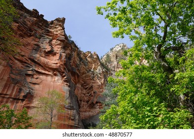 Tower Red Cliff In Oak Creek Canyon