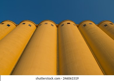 Tower Silos Facility For Grain Storage