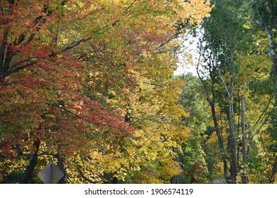 Tower Trail At Mount Tom State Park In Washington, Connecticut